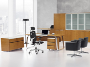 Fashion Executive Desk