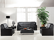 Traditional Leather Sofa
