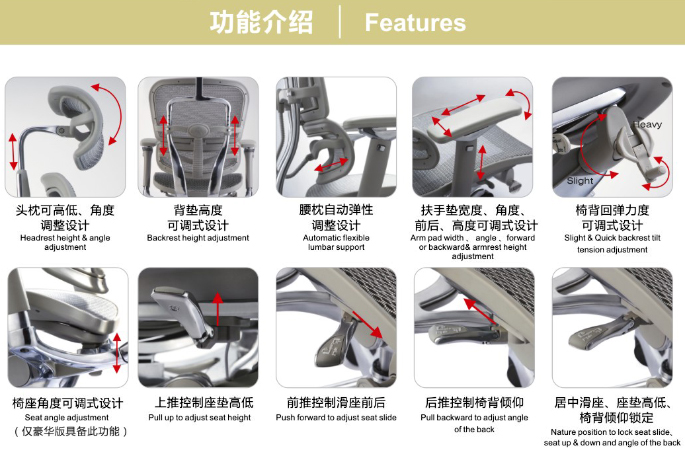 �칫���½��ϵ��Ergohuman+